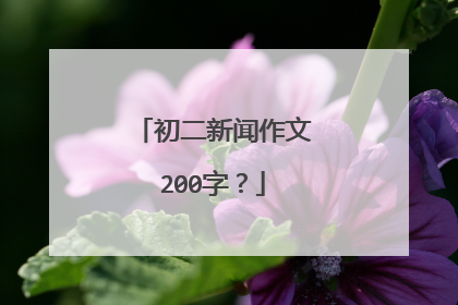 初二新闻作文200字？