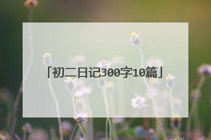 初二日记300字10篇