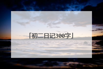初二日记300字