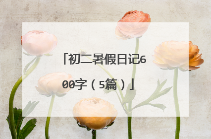 初二暑假日记600字(5篇)