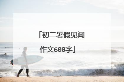 初二暑假见闻作文600字