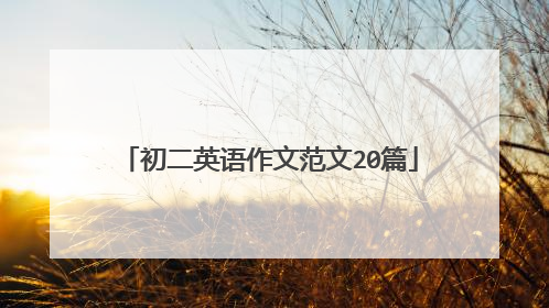 初二英语作文范文20篇