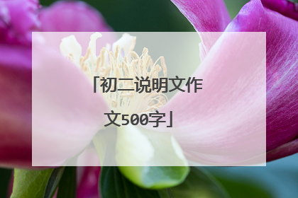 初二说明文作文500字