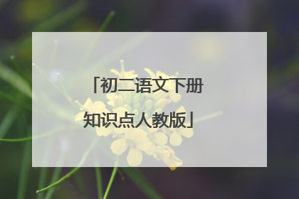 初二语文下册知识点人教版