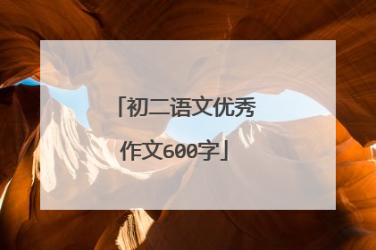 初二语文优秀作文600字