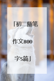 初二随笔作文800字5篇