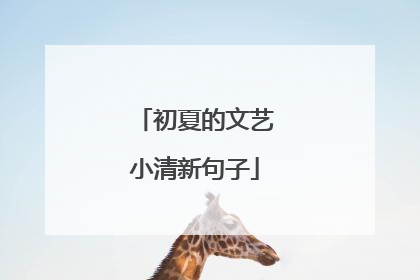 初夏的文艺小清新句子