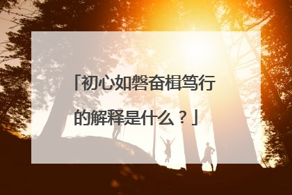初心如磐奋楫笃行的解释是什么?