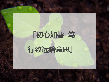 初心如磐 笃行致远啥意思