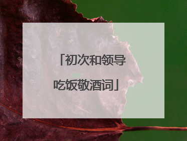 初次和领导吃饭敬酒词