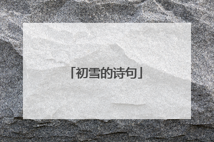 初雪的诗句