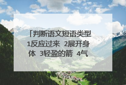 判断语文短语类型 1反应过来 2展开身体 3轻盈的箭 4气泡拥抱 5四面水花