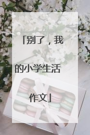 别了,我的小学生活 作文