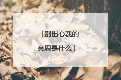 别出心裁的意思是什么