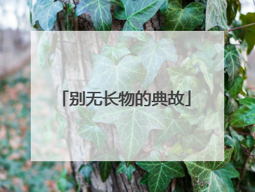 别无长物的典故