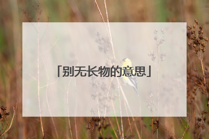 别无长物的意思
