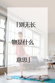 别无长物是什么意思
