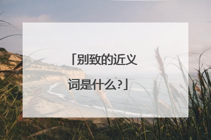 别致的近义词是什么?