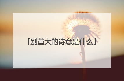 别董大的诗意是什么