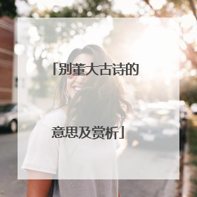 别董大古诗的意思及赏析