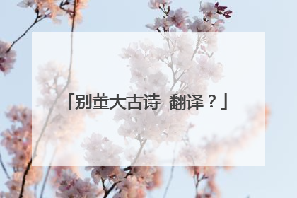 别董大古诗 翻译？