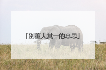 别董大其一的意思