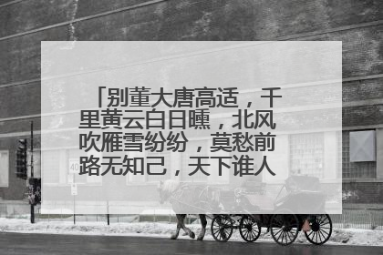 别董大唐高适,千里黄云白日曛,北风吹雁雪纷纷,莫愁前路无知己,天下谁人不识君?的意思