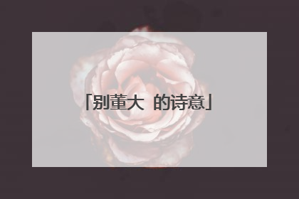 别董大 的诗意