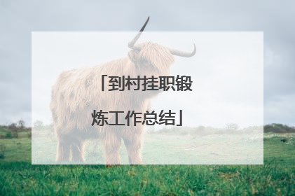 到村挂职锻炼工作总结