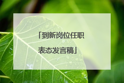 到新岗位任职表态发言稿