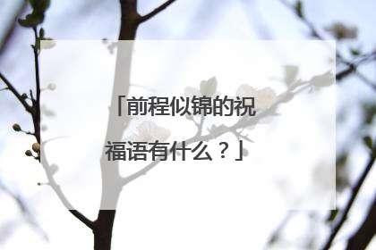 前程似锦的祝福语有什么?