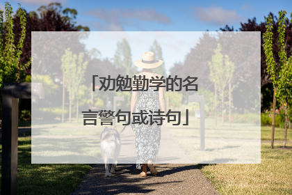 劝勉勤学的名言警句或诗句