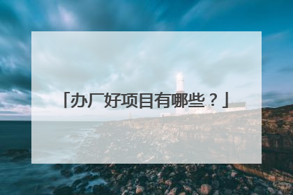 办厂好项目有哪些？