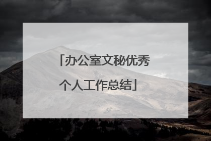 办公室文秘优秀个人工作总结