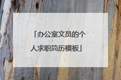 办公室文员的个人求职简历模板