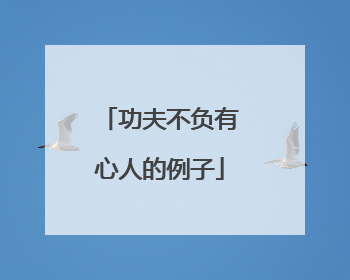 功夫不负有心人的例子