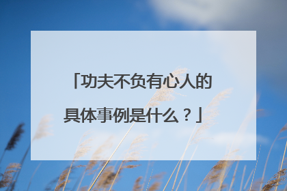 功夫不负有心人的具体事例是什么？