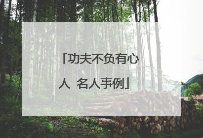 功夫不负有心人 名人事例