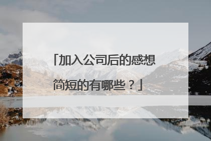 加入公司后的感想简短的有哪些？
