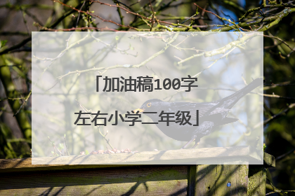 加油稿100字左右小学二年级