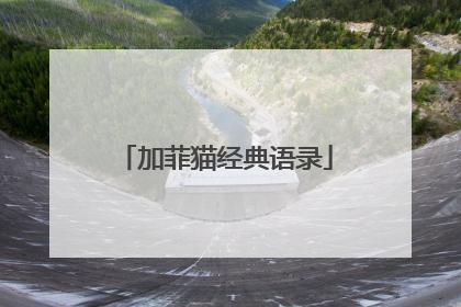 加菲猫经典语录