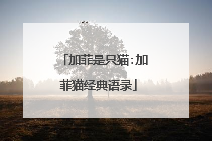 加菲是只猫:加菲猫经典语录