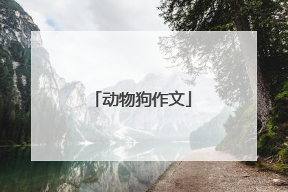 动物狗作文