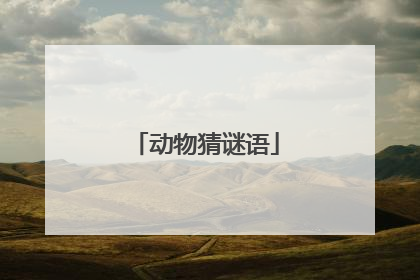 动物猜谜语