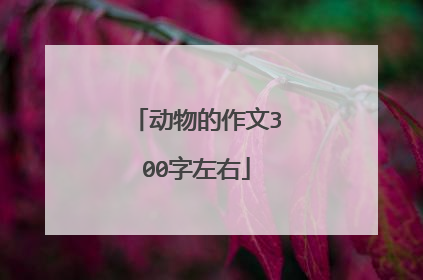 动物的作文300字左右
