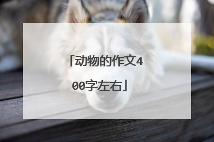 动物的作文400字左右