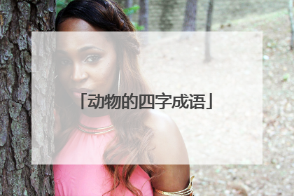 动物的四字成语