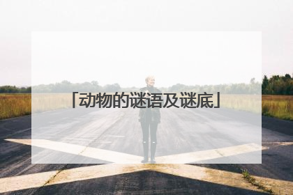 动物的谜语及谜底