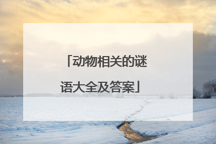 动物相关的谜语大全及答案