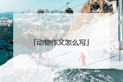 动物作文怎么写